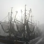 Flotsam Greetsiel *