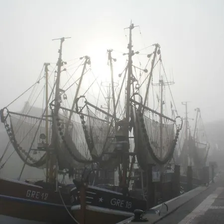 Flotsam Greetsiel *